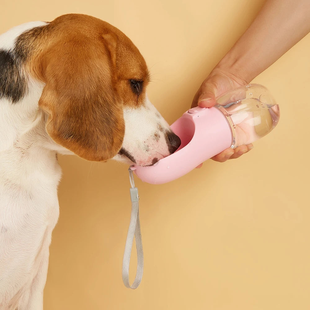 Borraccia per Cani 550ml con Ciotola — Passeggiate